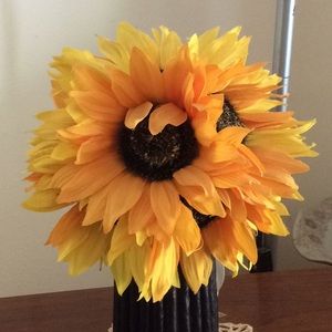 Meet your Posher, Chi